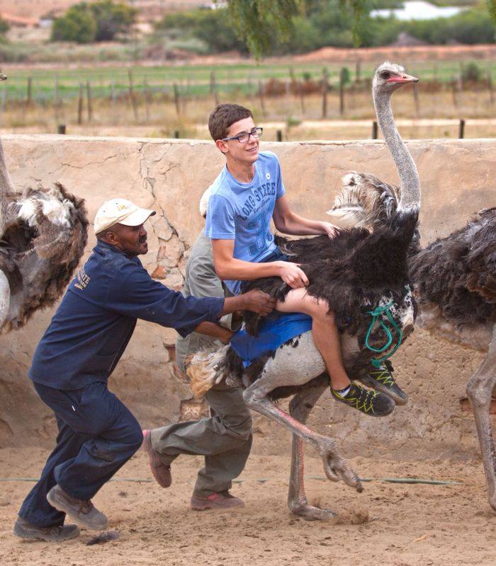 Exchange student riding a ostrich